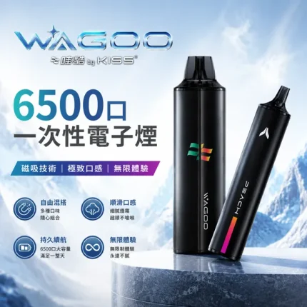 12種口味｜哇酷/WAGOO & KIS5 6500口一次性電子煙 自由混搭雙口味